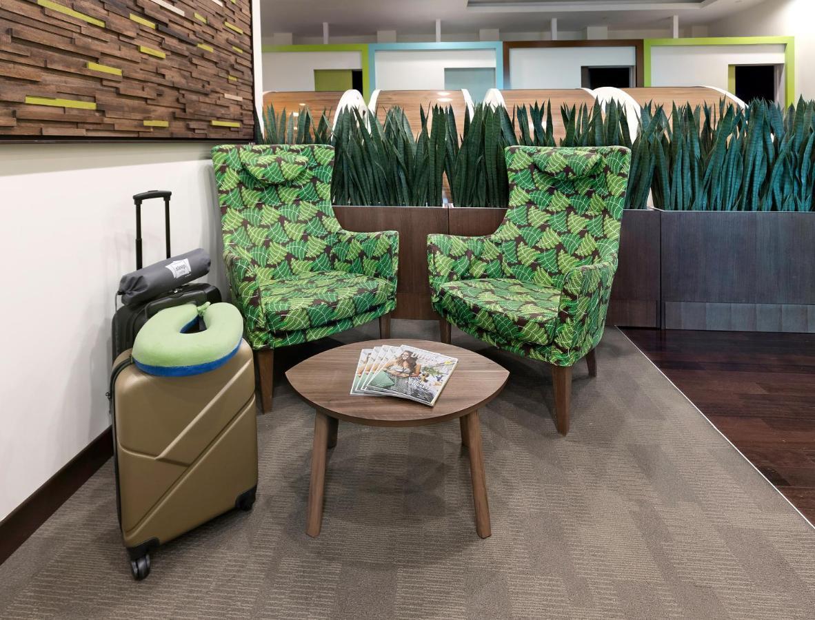 Sleep 'n Fly Sleep Lounge, A-gates Terminal 3 - Transit Only دبي